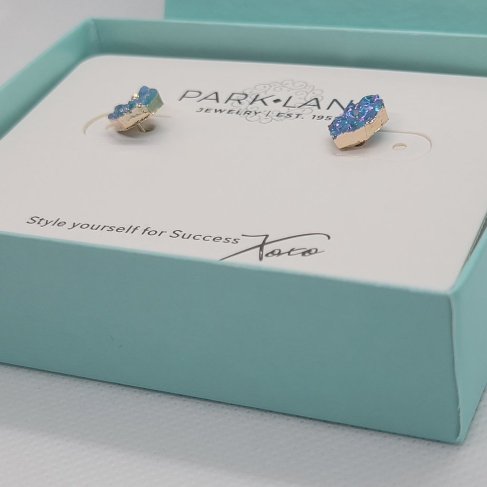 Park Lane Hailee Earrings